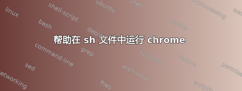 帮助在 sh 文件中运行 chrome