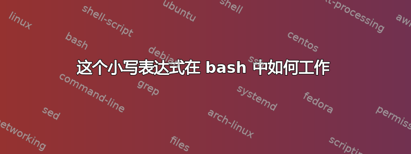 这个小写表达式在 bash 中如何工作