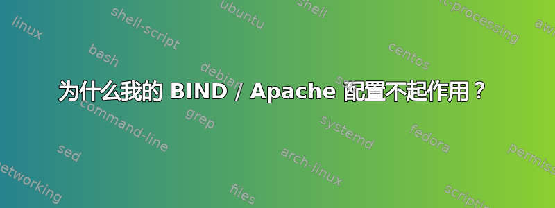 为什么我的 BIND / Apache 配置不起作用？