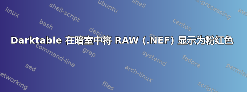 Darktable 在暗室中将 RAW (.NEF) 显示为粉红色