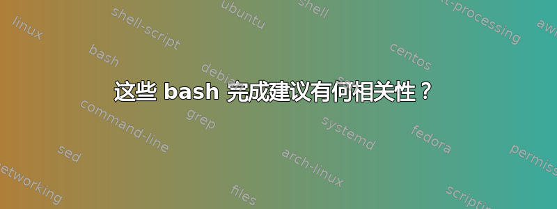 这些 bash 完成建议有何相关性？