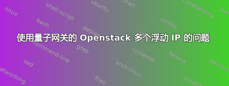 使用量子网关的 Openstack 多个浮动 IP 的问题