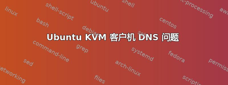 Ubuntu KVM 客户机 DNS 问题