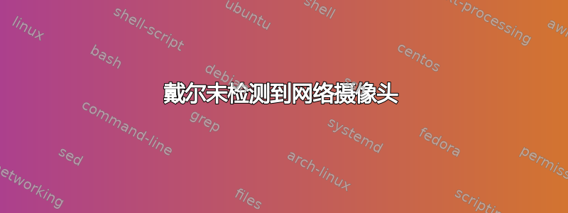 戴尔未检测到网络摄像头