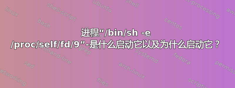 进程“/bin/sh -e /proc/self/fd/9”-是什么启动它以及为什么启动它？