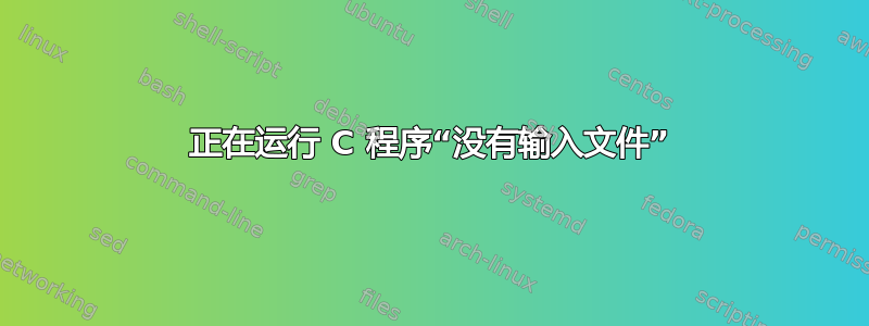 正在运行 C 程序“没有输入文件”