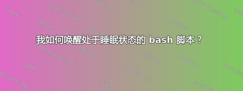 我如何唤醒处于睡眠状态的 bash 脚本？