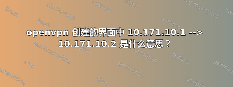 openvpn 创建的界面中 10.171.10.1 --> 10.171.10.2 是什么意思？