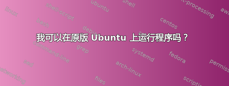 我可以在原版 Ubuntu 上运行程序吗？