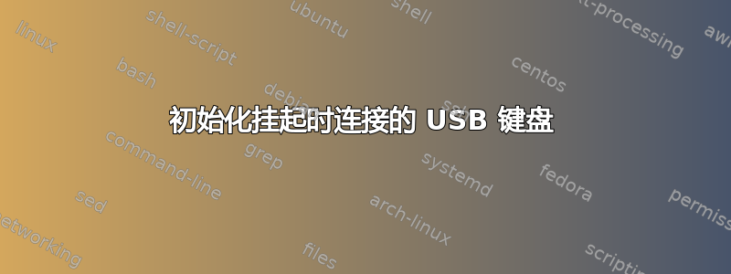 初始化挂起时连接的 USB 键盘