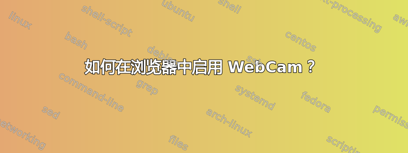 如何在浏览器中启用 WebCam？