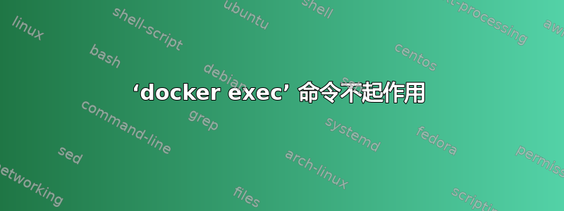 ‘docker exec’ 命令不起作用