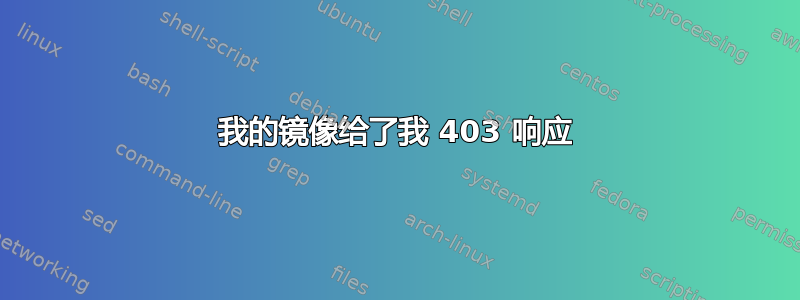 我的镜像给了我 403 响应