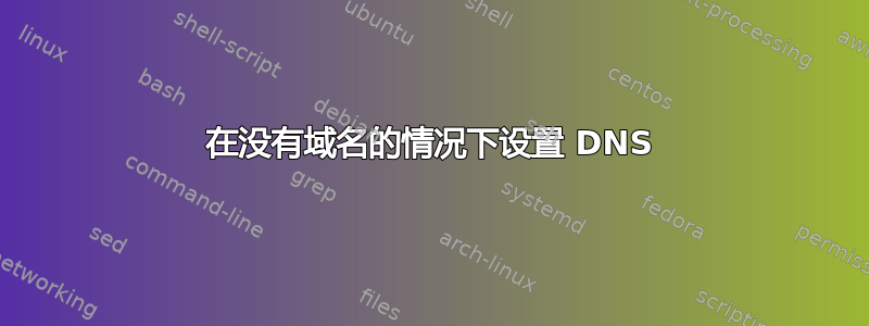 在没有域名的情况下设置 DNS