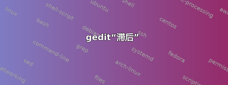 gedit“滞后”