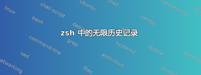 zsh 中的无限历史记录