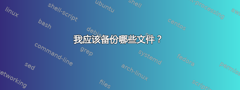 我应该备份哪些文件？