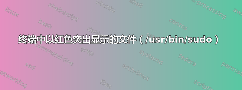 终端中以红色突出显示的文件（/usr/bin/sudo）