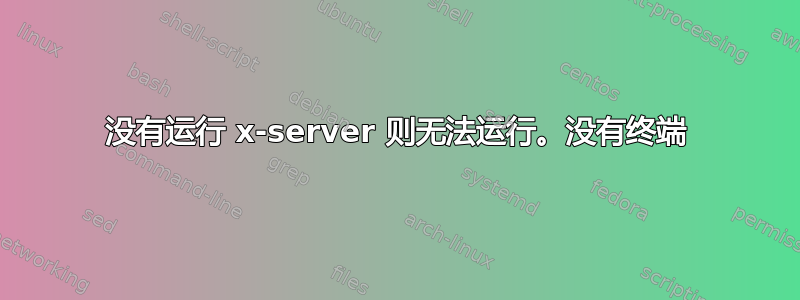 没有运行 x-server 则无法运行。没有终端