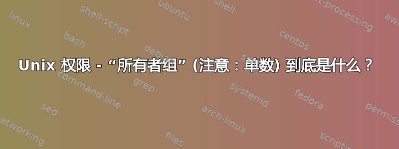 Unix 权限 - “所有者组” (注意：单数) 到底是什么？