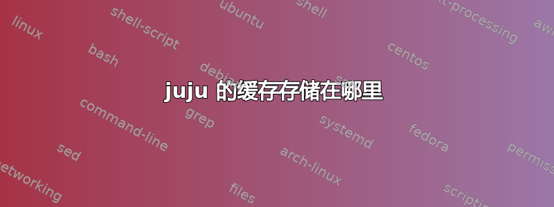 juju 的缓存存储在哪里