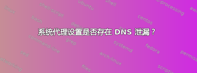 系统代理设置是否存在 DNS 泄漏？