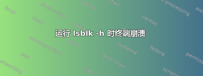 运行 lsblk -h 时终端崩溃