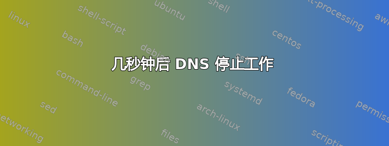 几秒钟后 DNS 停止工作