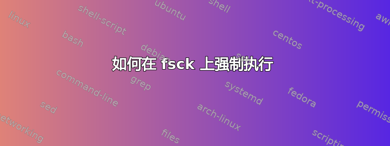 如何在 fsck 上强制执行