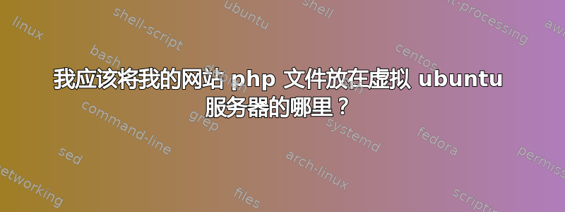 我应该将我的网站 php 文件放在虚拟 ubuntu 服务器的哪里？