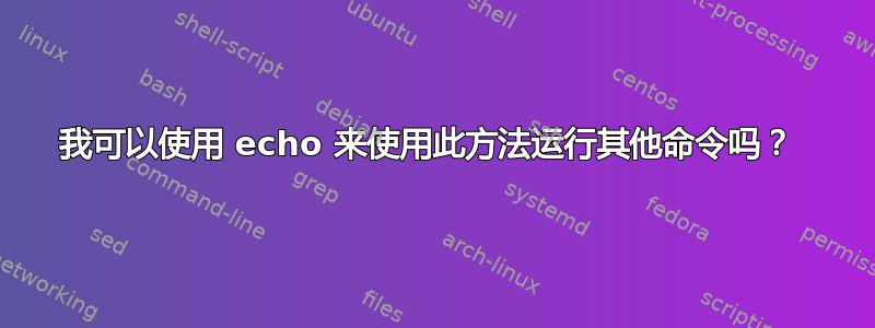 我可以使用 echo 来使用此方法运行其他命令吗？ 