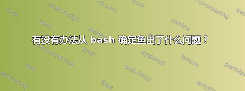 有没有办法从 bash 确定鱼出了什么问题？