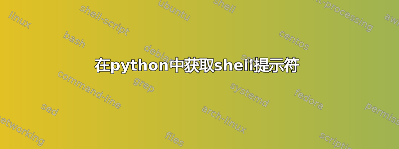 在python中获取shell提示符