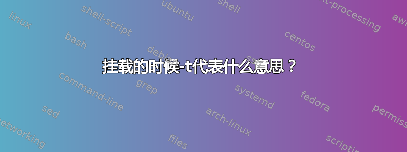 挂载的时候-t代表什么意思？