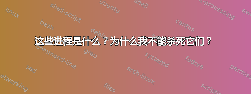 这些进程是什么？为什么我不能杀死它们？