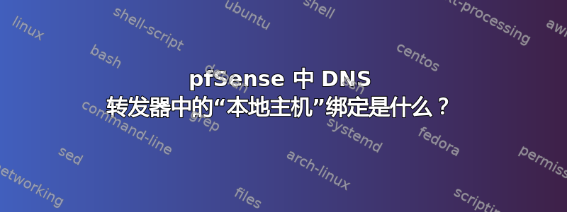 pfSense 中 DNS 转发器中的“本地主机”绑定是什么？