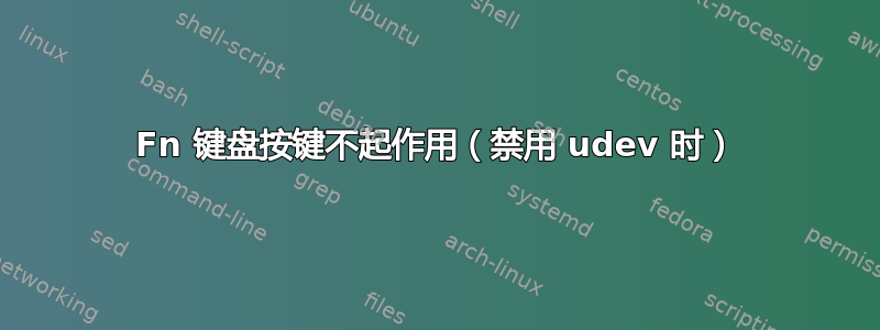 Fn 键盘按键不起作用（禁用 udev 时）