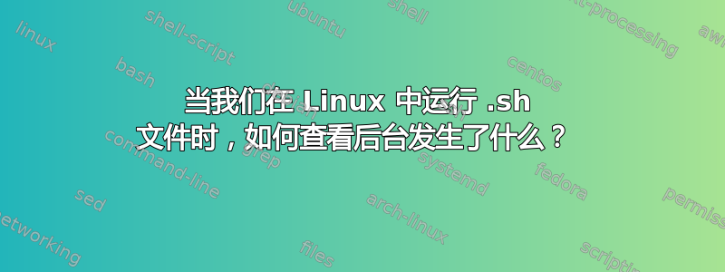 当我们在 Linux 中运行 .sh 文件时，如何查看后台发生了什么？ 