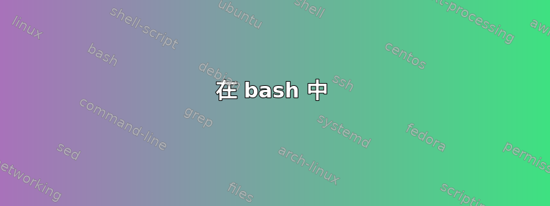 在 bash 中