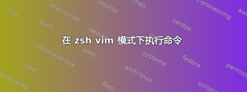 在 zsh vim 模式下执行命令