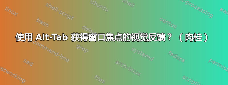 使用 Alt-Tab 获得窗口焦点的视觉反馈？ （肉桂）