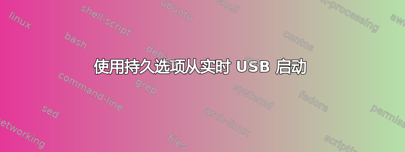 使用持久选项从实时 USB 启动