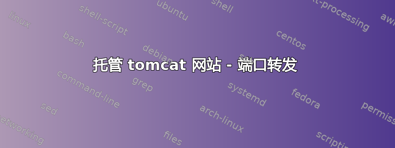 托管 tomcat 网站 - 端口转发