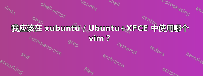 我应该在 xubuntu / Ubuntu+XFCE 中使用哪个 vim？