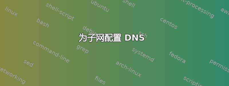 为子网配置 DNS 