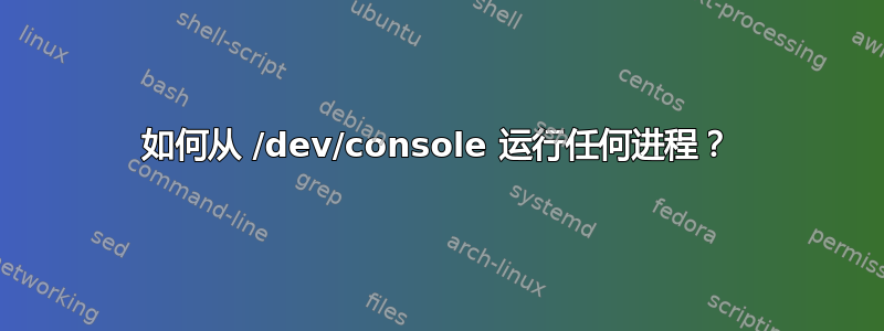 如何从 /dev/console 运行任何进程？