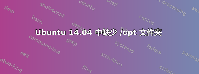 Ubuntu 14.04 中缺少 /opt 文件夹