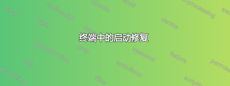 终端中的启动修复