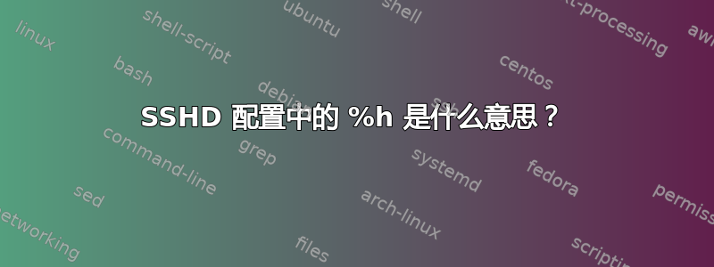 SSHD 配置中的 %h 是什么意思？