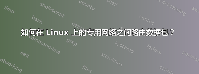 如何在 Linux 上的专用网络之间路由数据包？